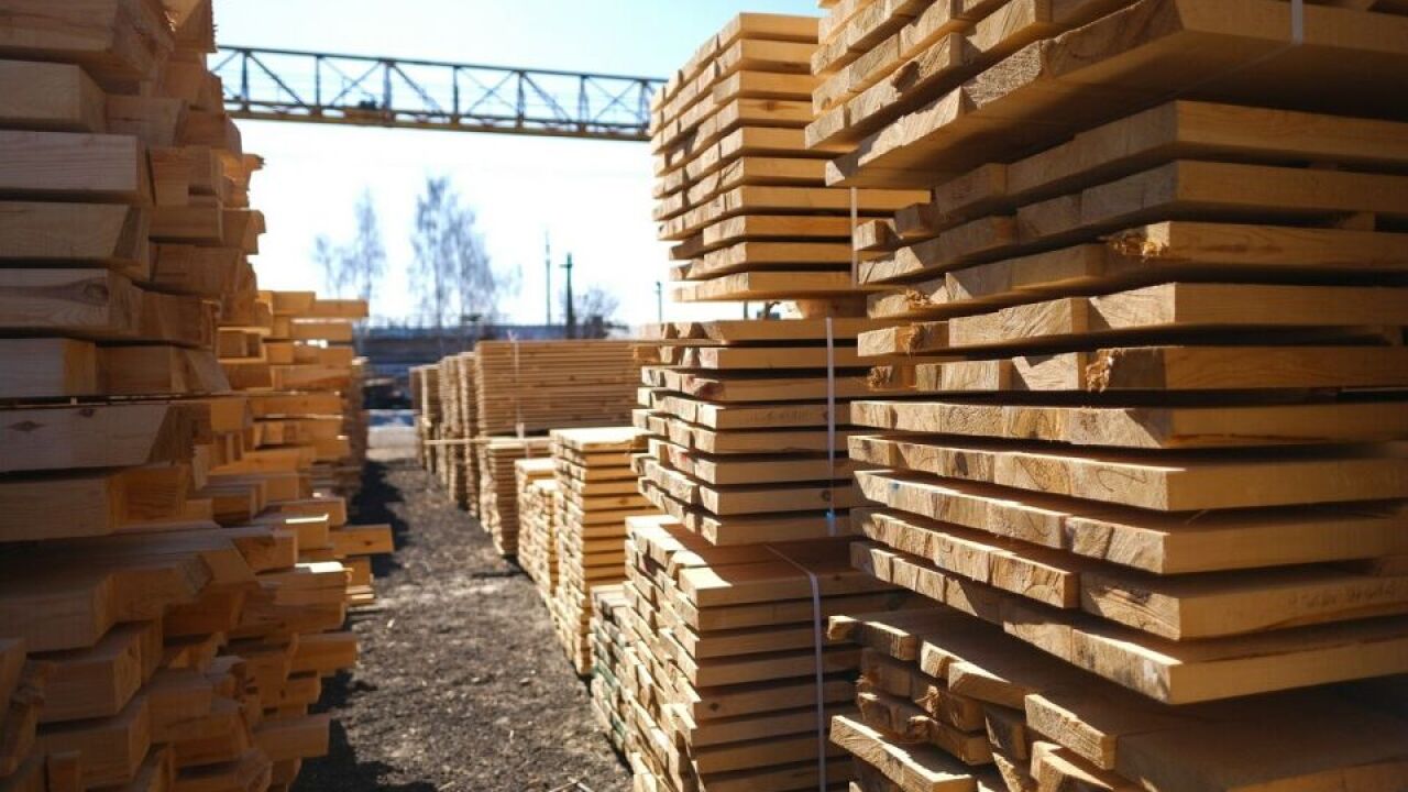Różne gatunki drewna w tartaku: klucz do sukcesu projektów budowlanych