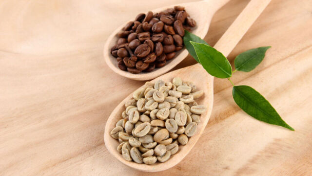 Rola importera kawy zielonej w procesie produkcji
