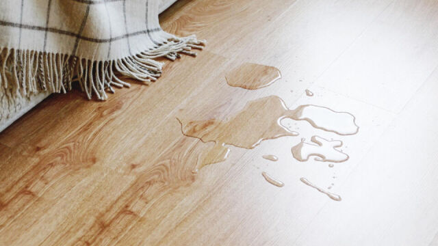 Najczęstsze problemy z wgnieceniami na deskach podłogowych i jak sobie z nimi poradzić